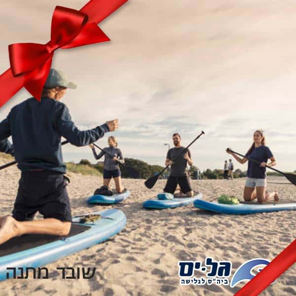 שיעורי גלישה על סאפ לקבוצות